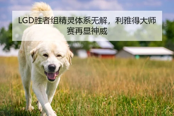 LGD胜者组精灵体系无解，利雅得大师赛再显神威
