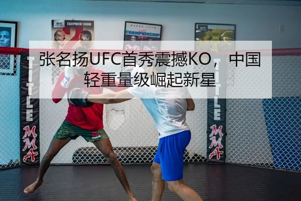 张名扬UFC首秀震撼KO，中国轻重量级崛起新星