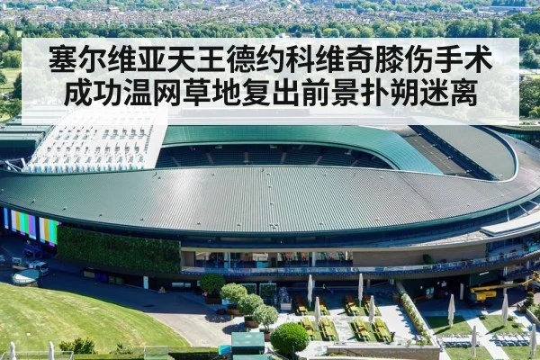塞尔维亚天王德约科维奇膝伤手术成功温网草地复出前景扑朔迷离