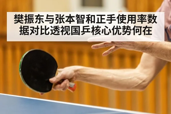 樊振东与张本智和正手使用率数据对比透视国乒核心优势何在