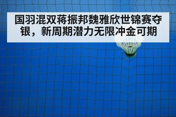 badminton net play