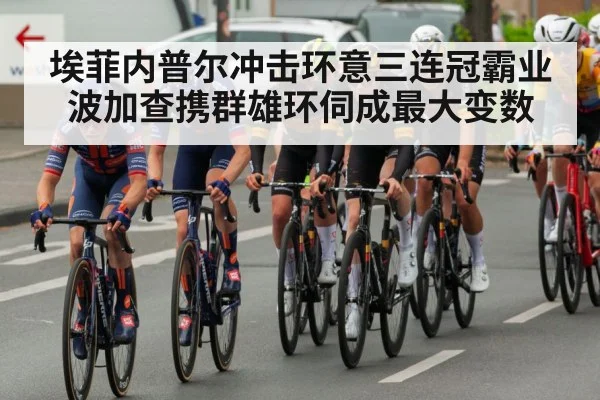埃菲内普尔冲击环意三连冠霸业 波加查携群雄环伺成最大变数